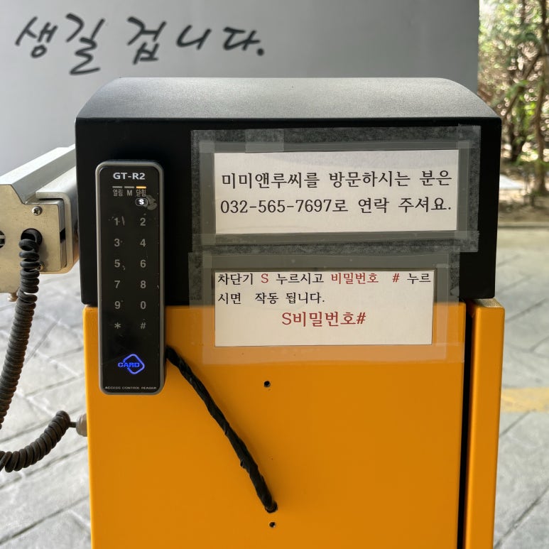 미미앤루씨 이미지