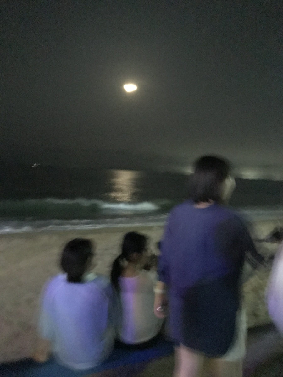 배부른돼지 이미지