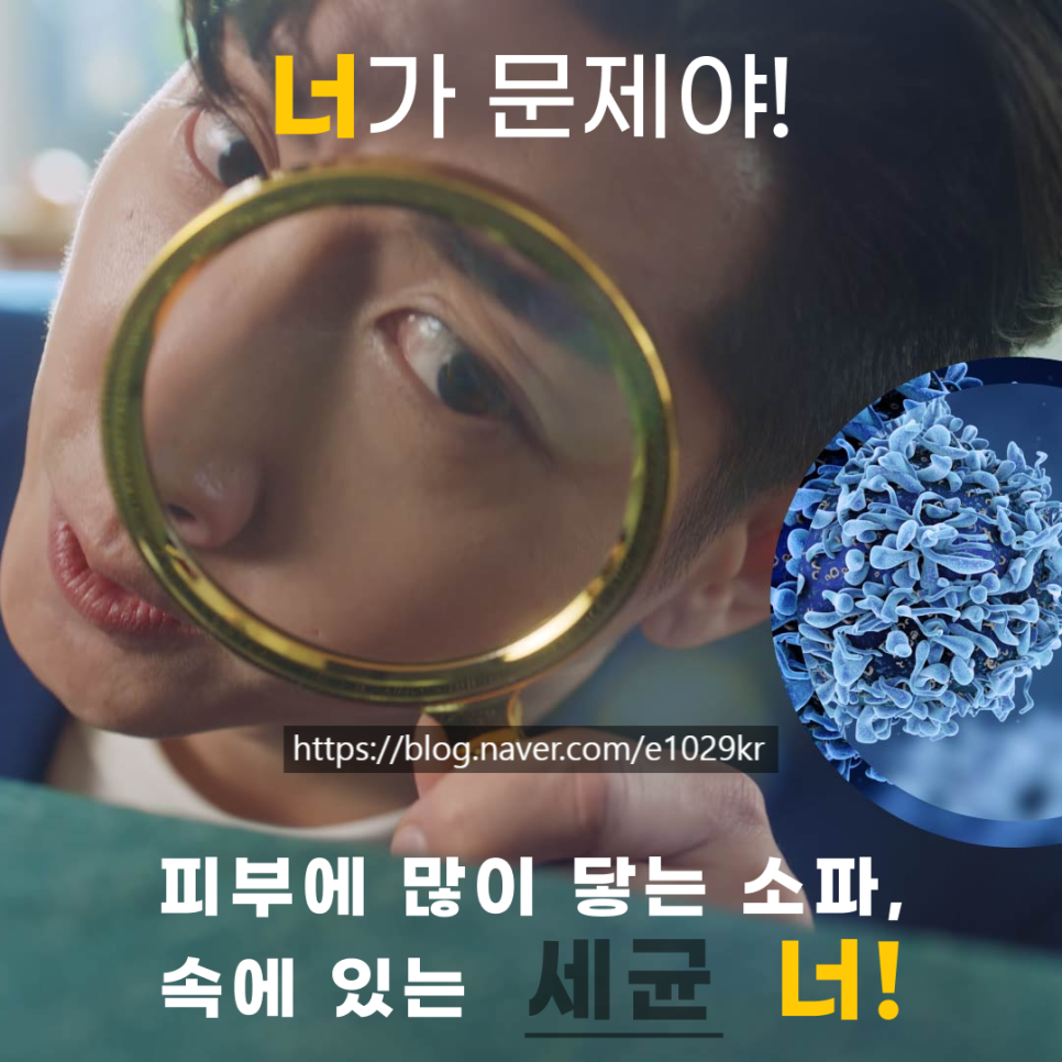 매트리스;소파;카페트새로클린경기광주점 이미지