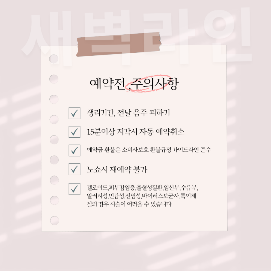 새벽라인 이미지