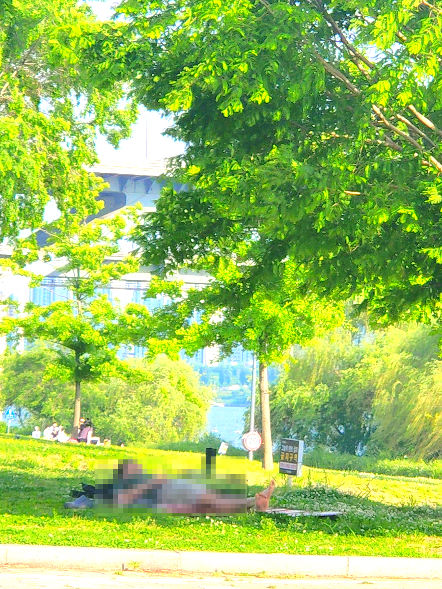 이선장회 이미지