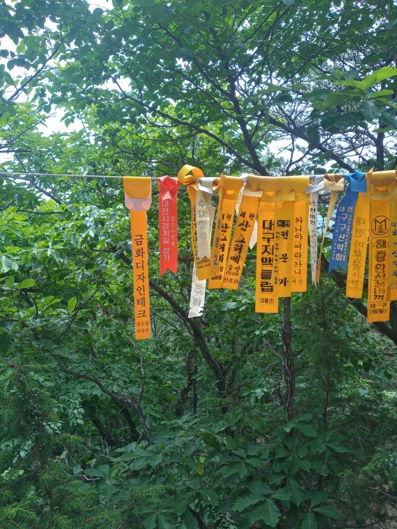 금화디자인테크 이미지