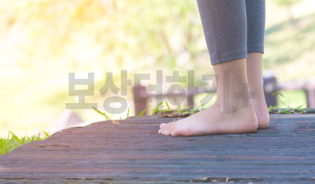 뼈삼 이미지