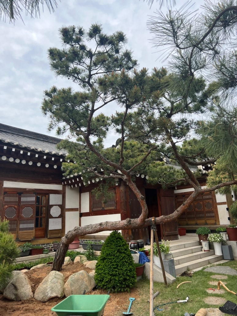 서호주택 이미지