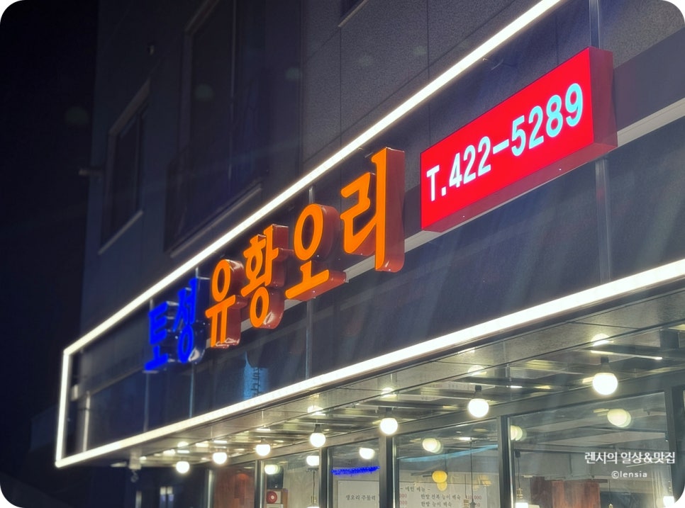 토성오리 이미지