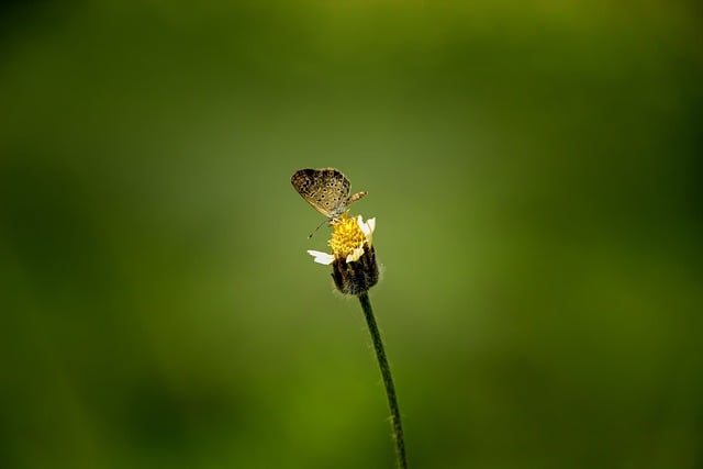 바르다김선생인천 이미지