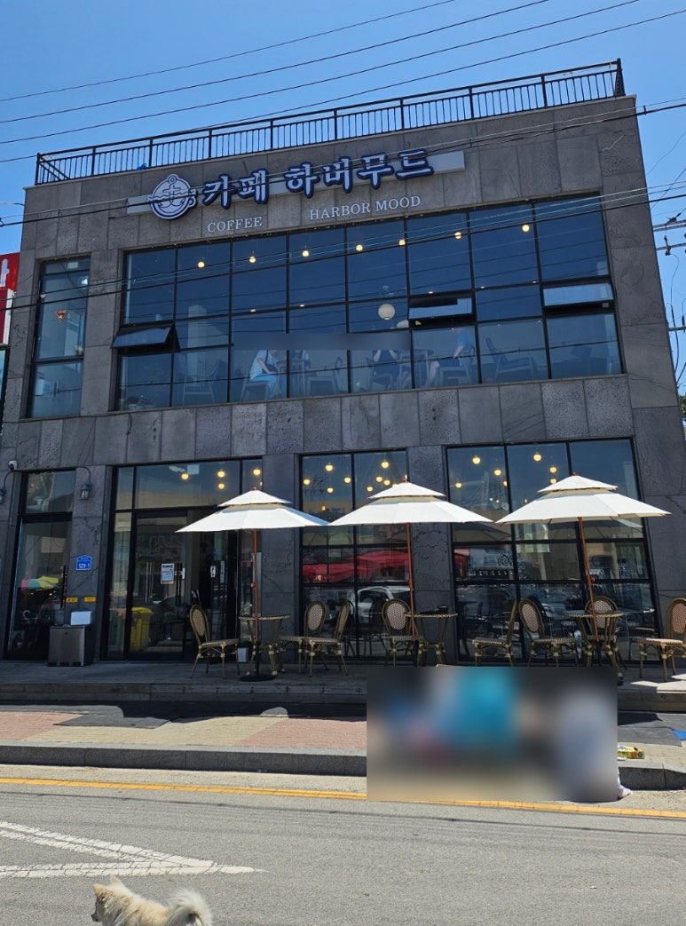 하버무드 이미지