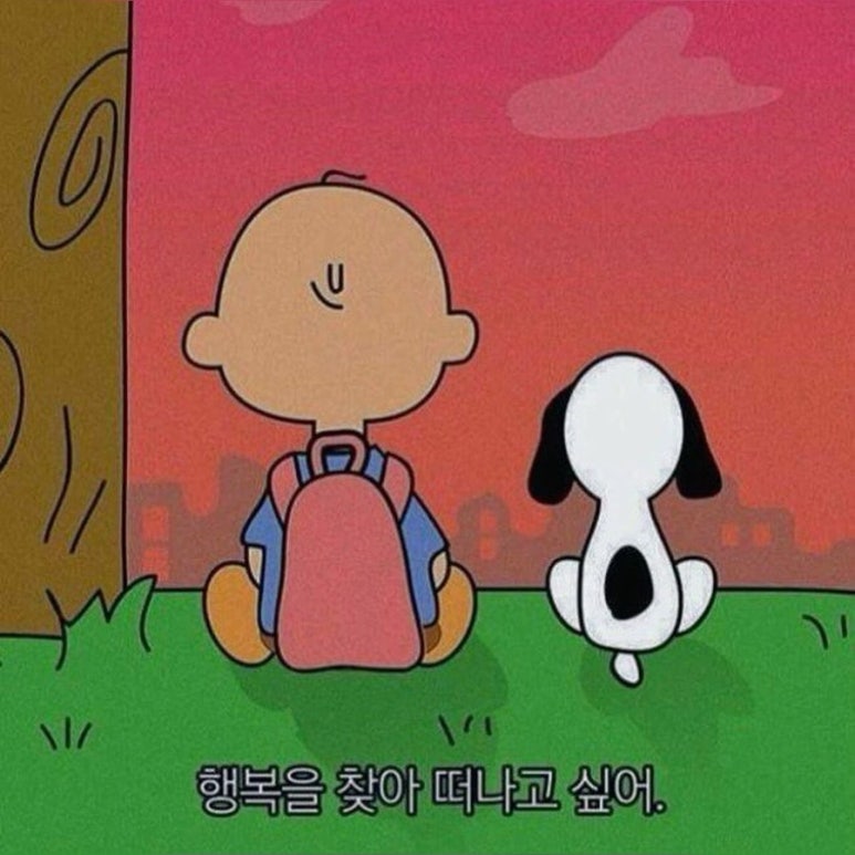 모모다인 이미지