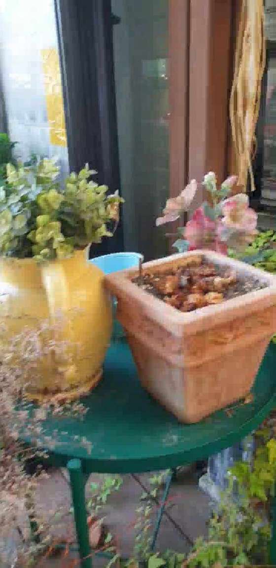바바커피 이미지