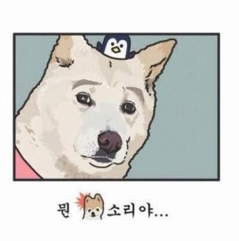 개성손만두 문산점 이미지