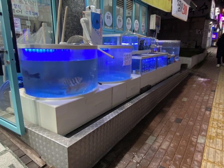 수촌마을탑동점 이미지
