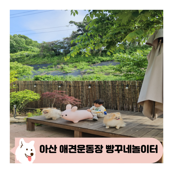 빵꾸네놀이터 이미지