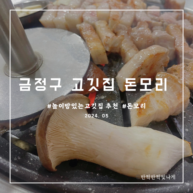 돈모리 이미지