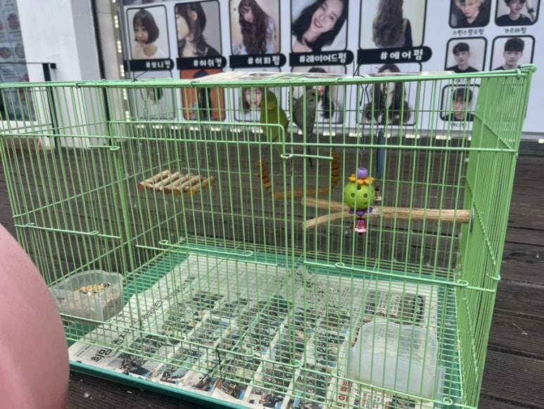형제미용실 이미지