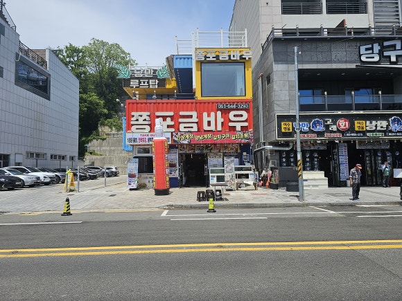금바우 이미지