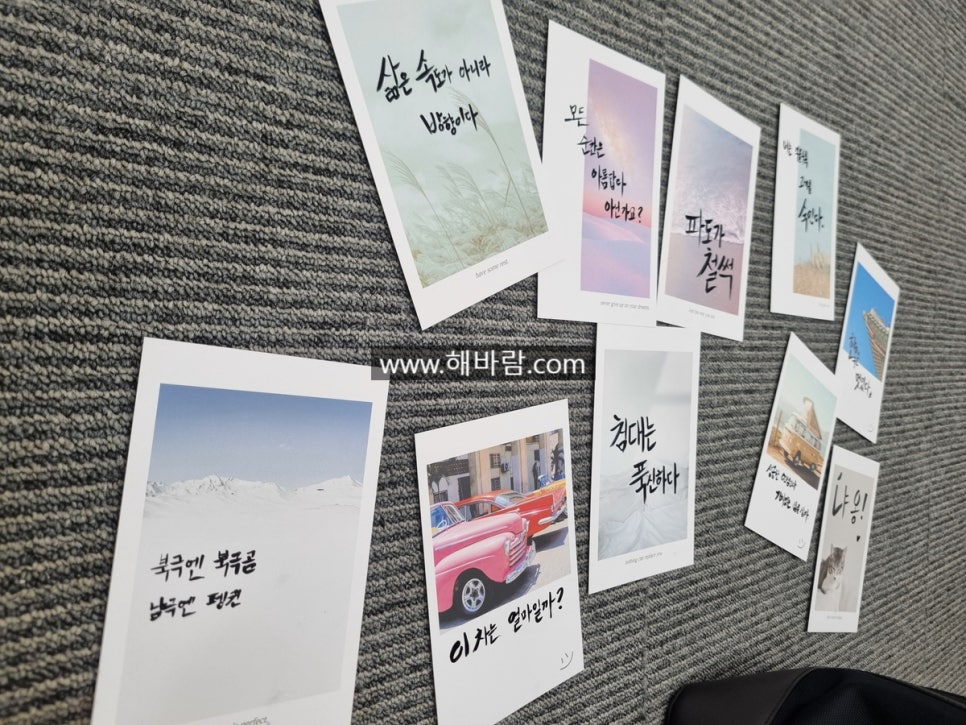 강화셀프 이미지