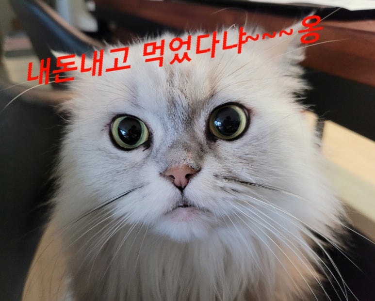 가람숯불구이 이미지