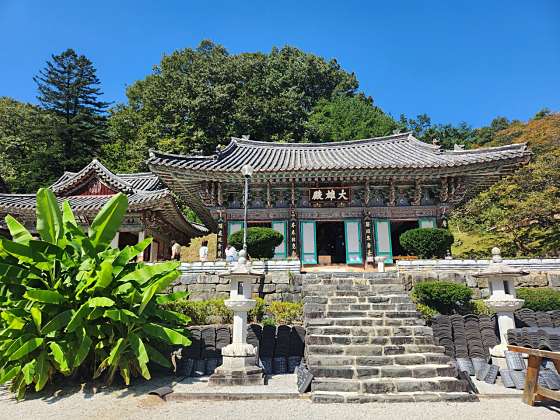 느티나무 캠핑장 이미지