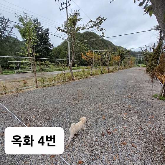 포시즌 캠핑장 이미지