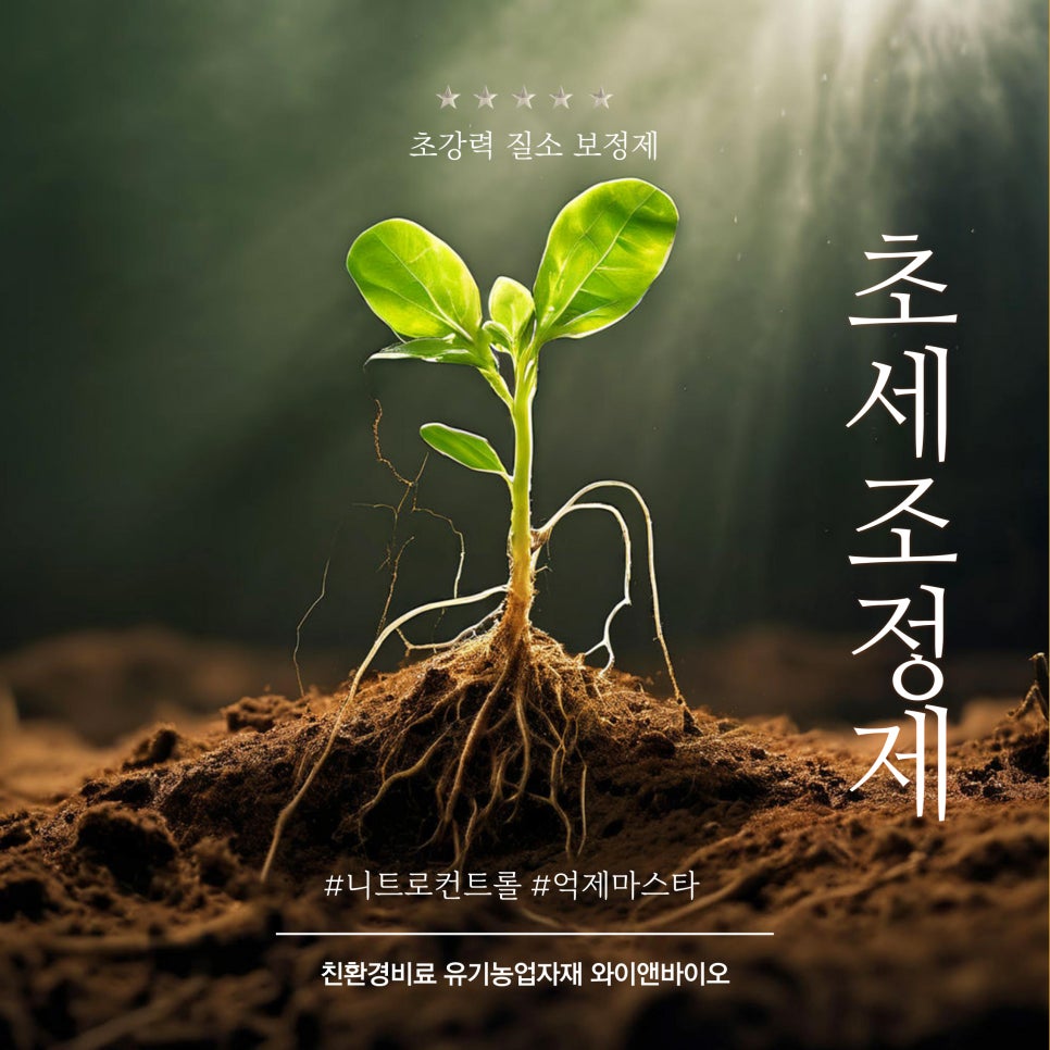 와이앤컨설팅 이미지