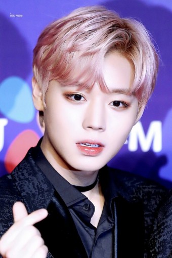 로이드밤대구 이미지