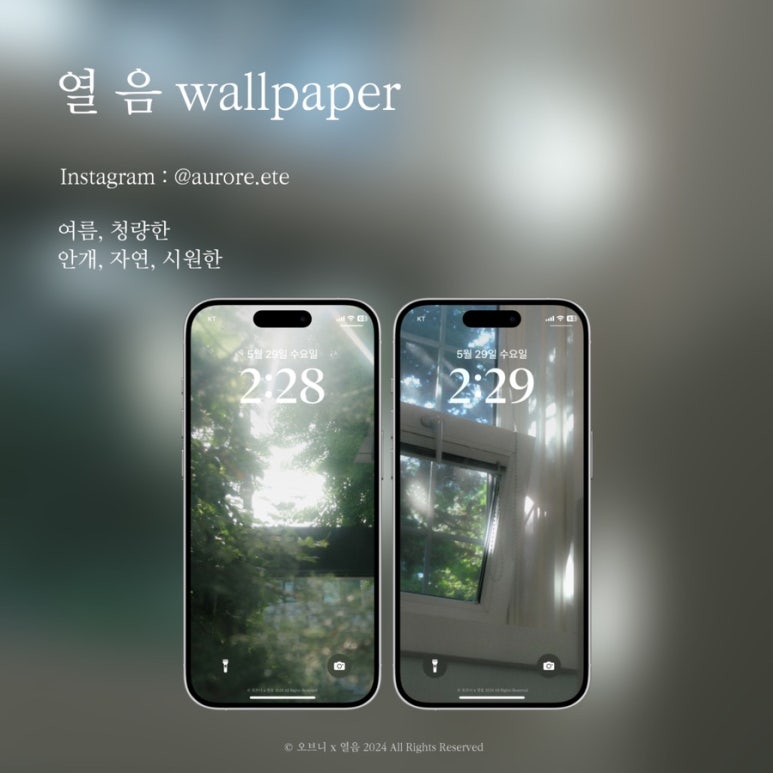 오브니ofni 이미지