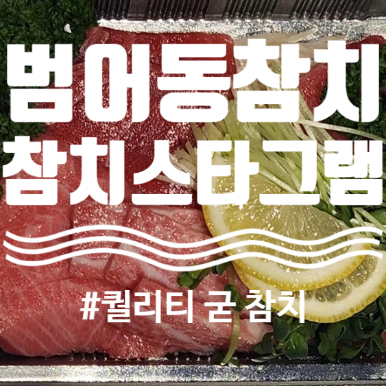 참치스타그램 이미지