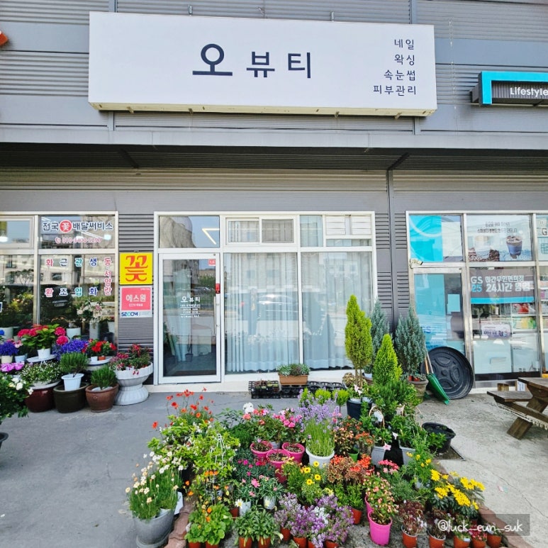 다미꽃농원 이미지
