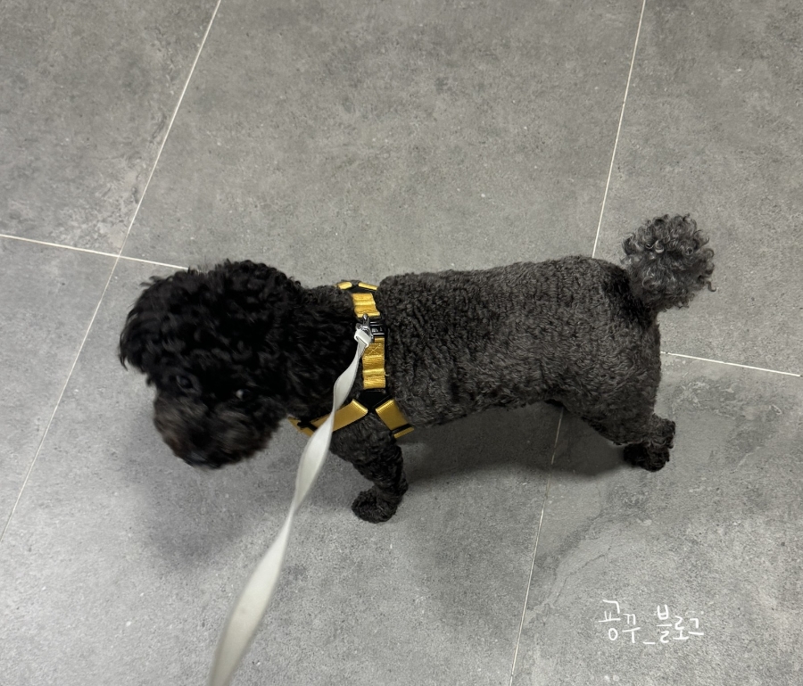 마운틴2152 이미지