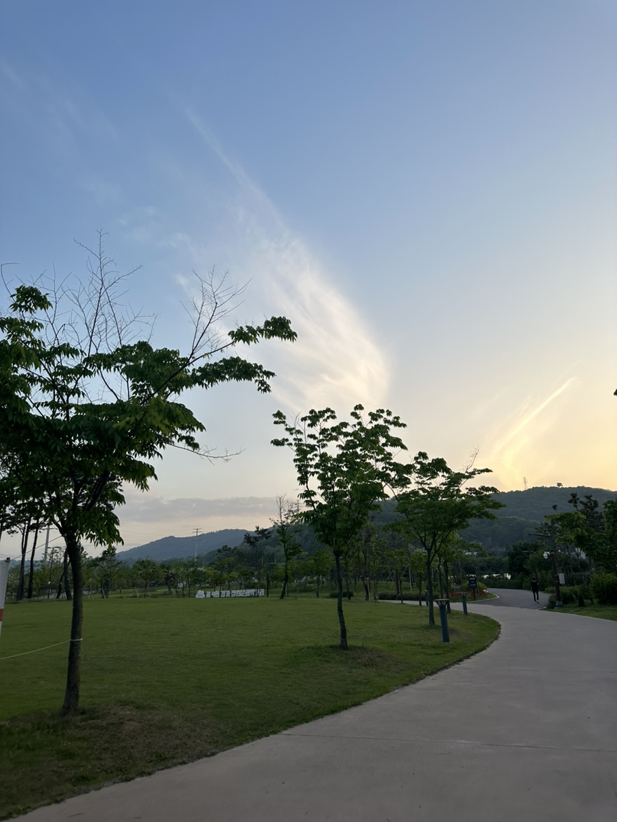 디디바스켓 이미지