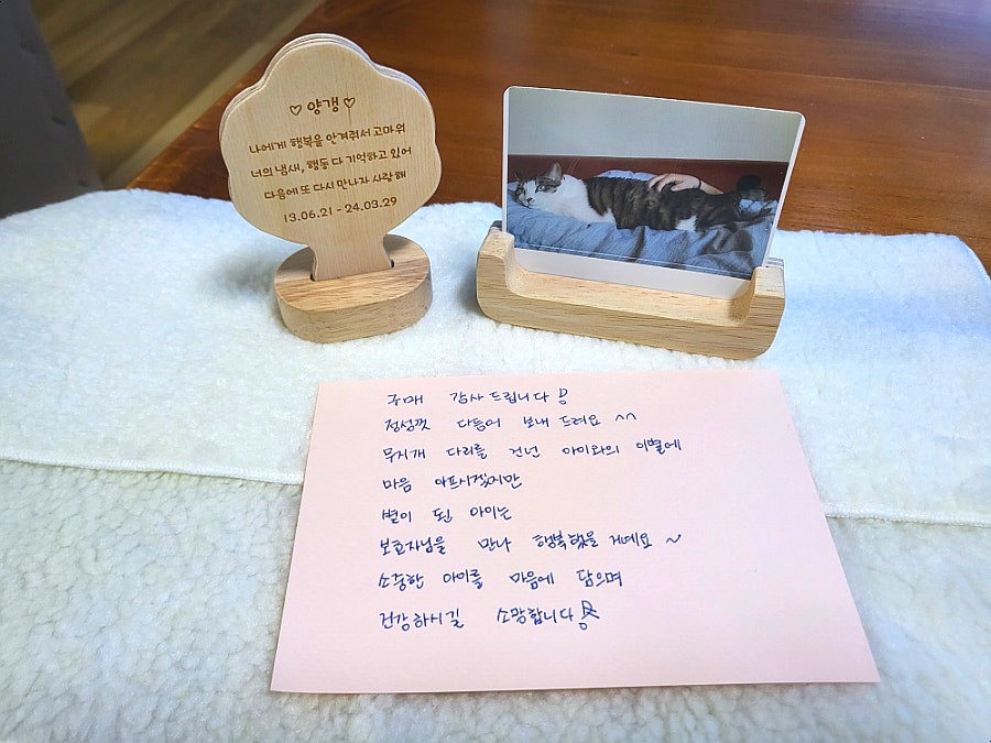 피오에이치 이미지