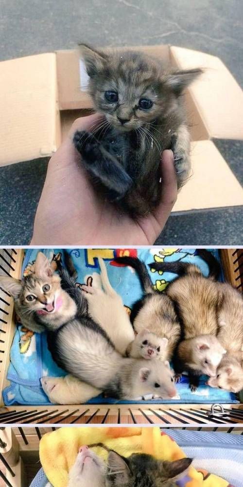 함께키우기 이미지