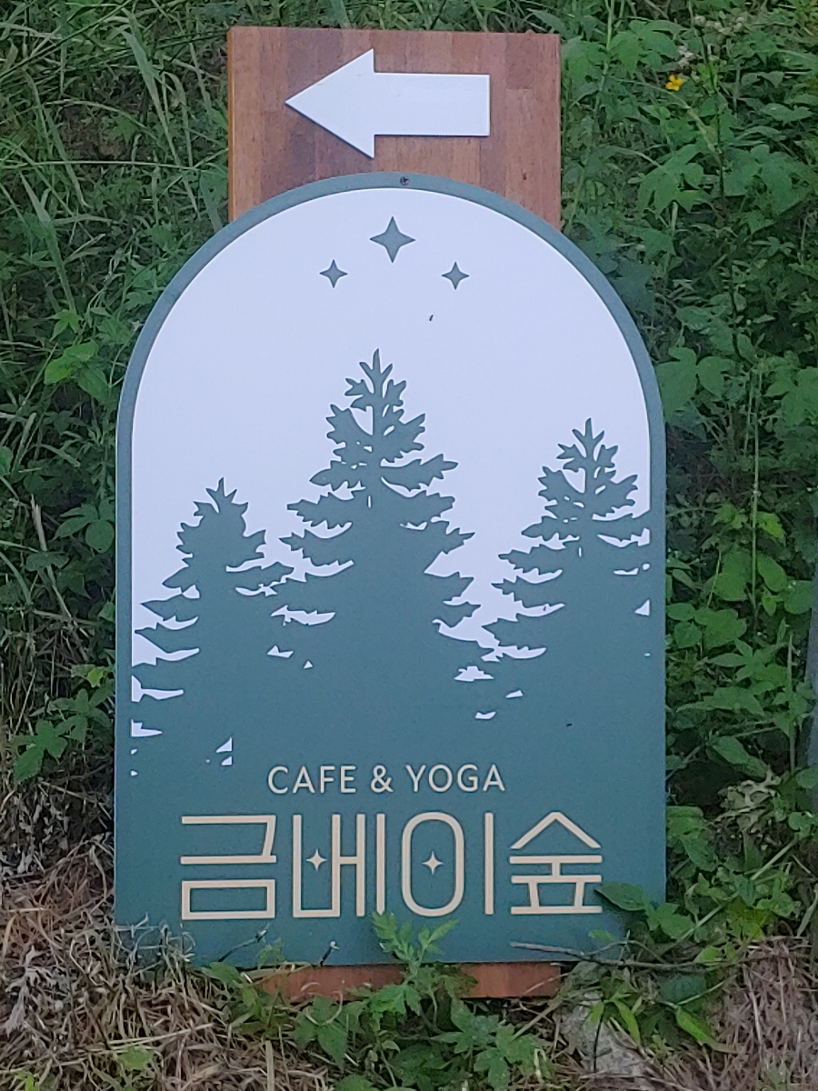 금베이숲 이미지