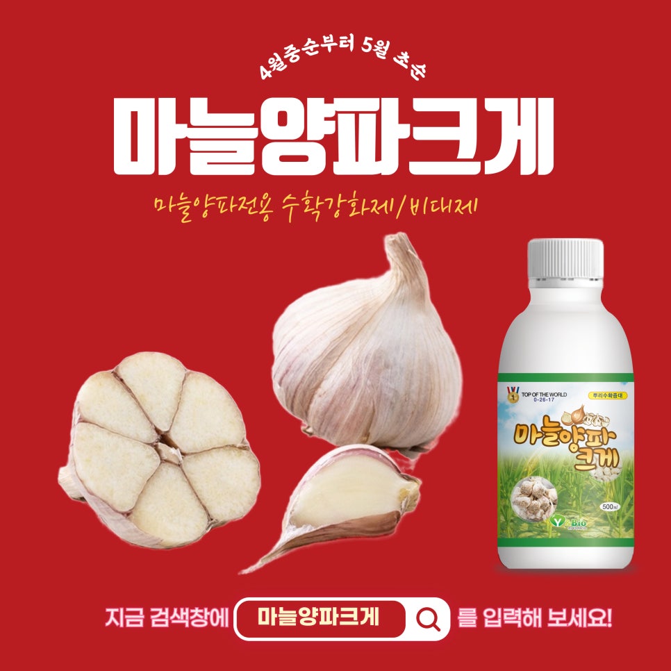 와이앤컨설팅 이미지