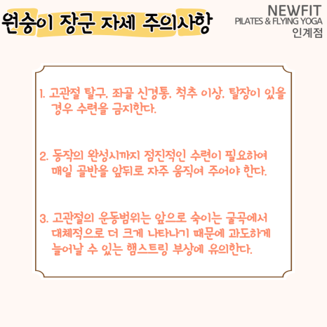 뉴핏 이미지