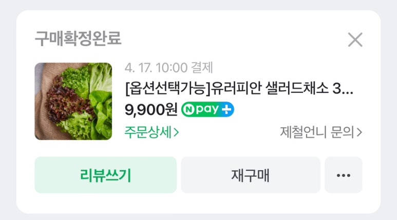 샐러드박스 이미지