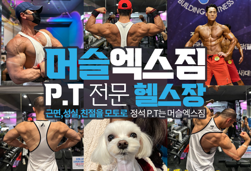 머슬엑스짐 이미지