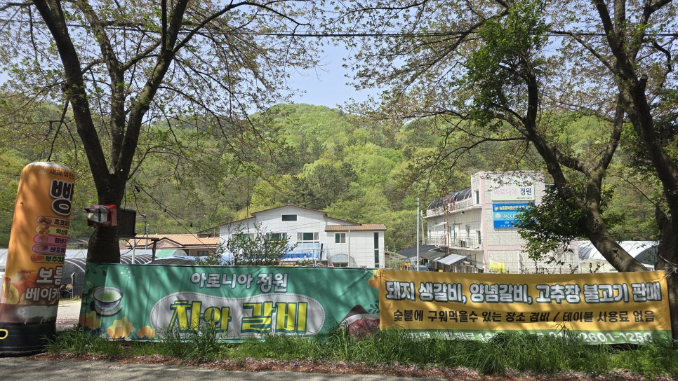 아로니아정원 이미지