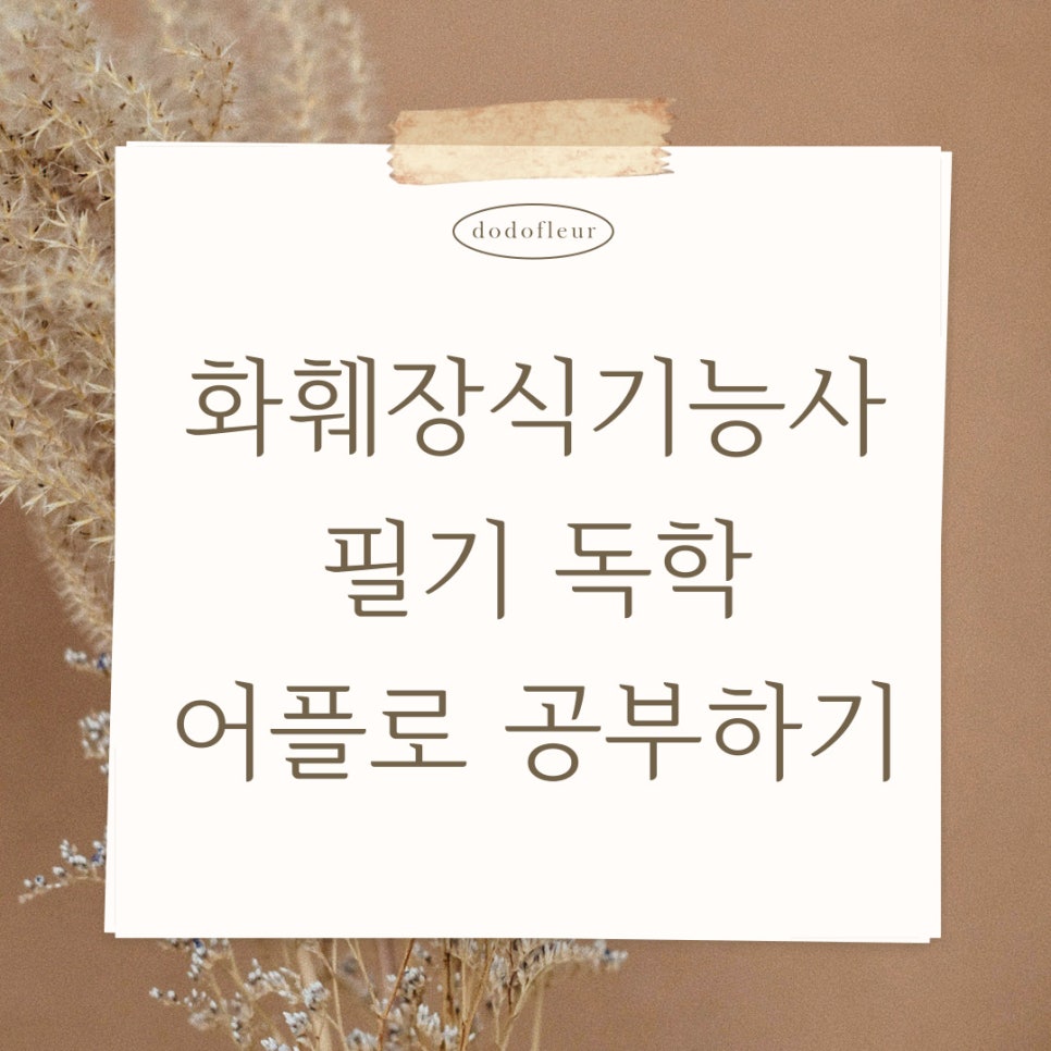 도도플레르 이미지