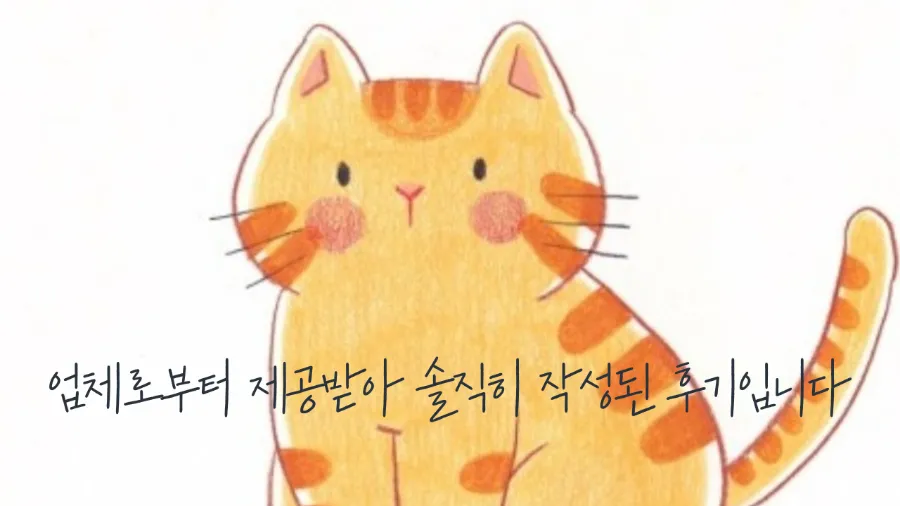 블리스캣 이미지