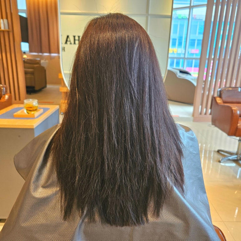 아코하롬헤어양주 이미지
