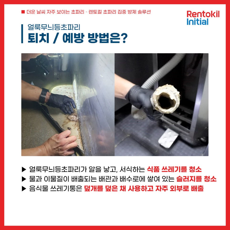 등초식품 이미지