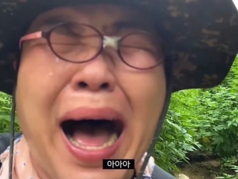 우당탕탕후루 이미지