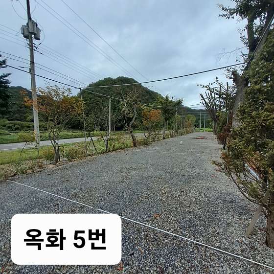 옥화포시즌캠핑장 이미지