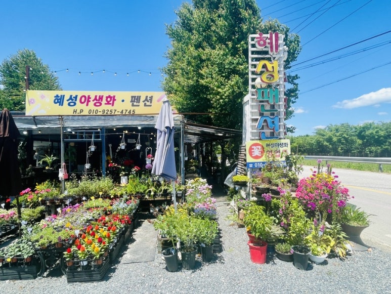 혜성화원 이미지
