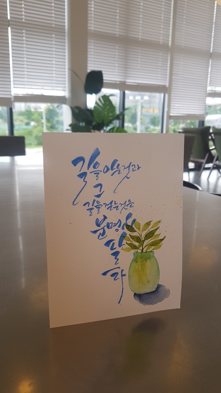 캘리스테이 이미지