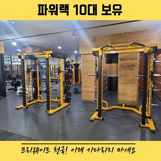 트랜스바디짐 이미지