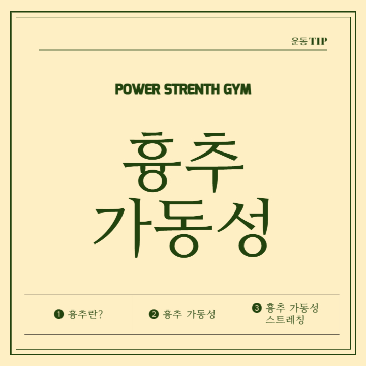 파워스트렝스짐 이미지