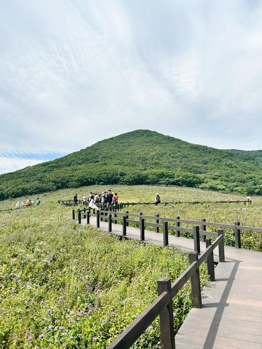 점봉산막국수 이미지