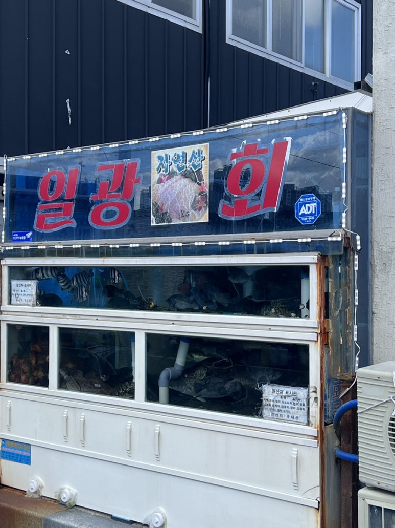 일광물회 이미지